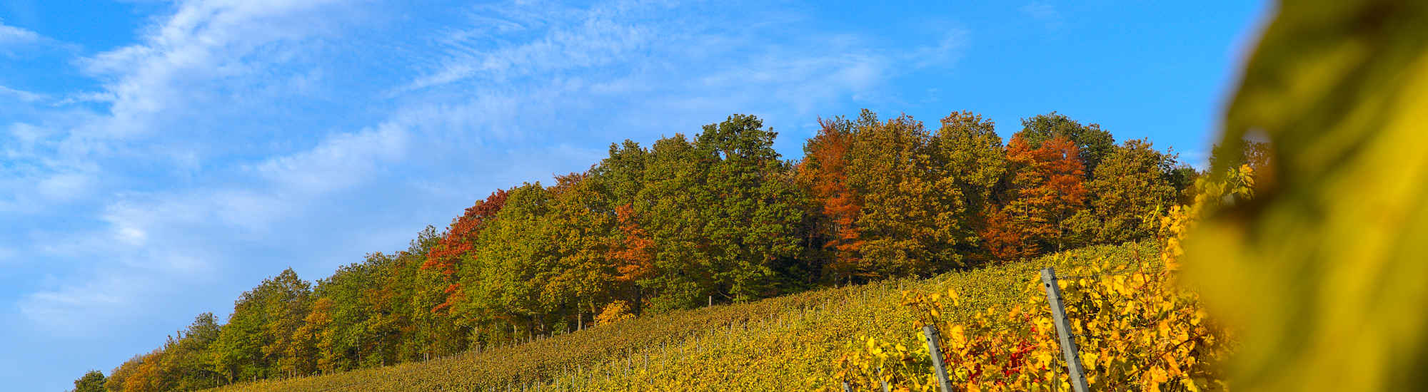 Herbst im Nordschwarzwald zur goldenen Stunde im Oktober.