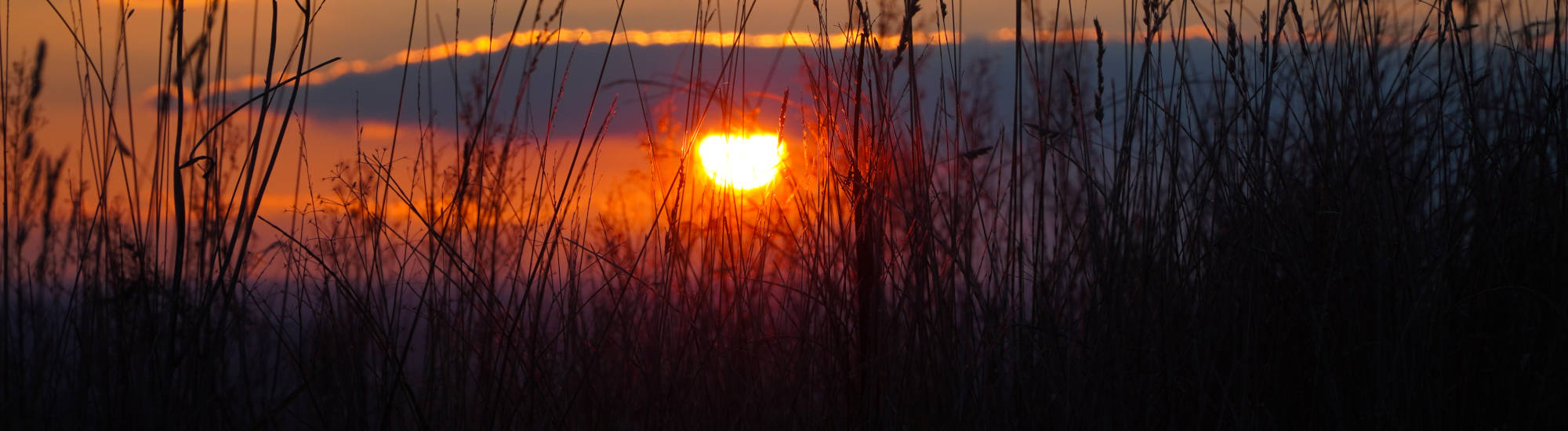 Sonnenuntergang im Januar.